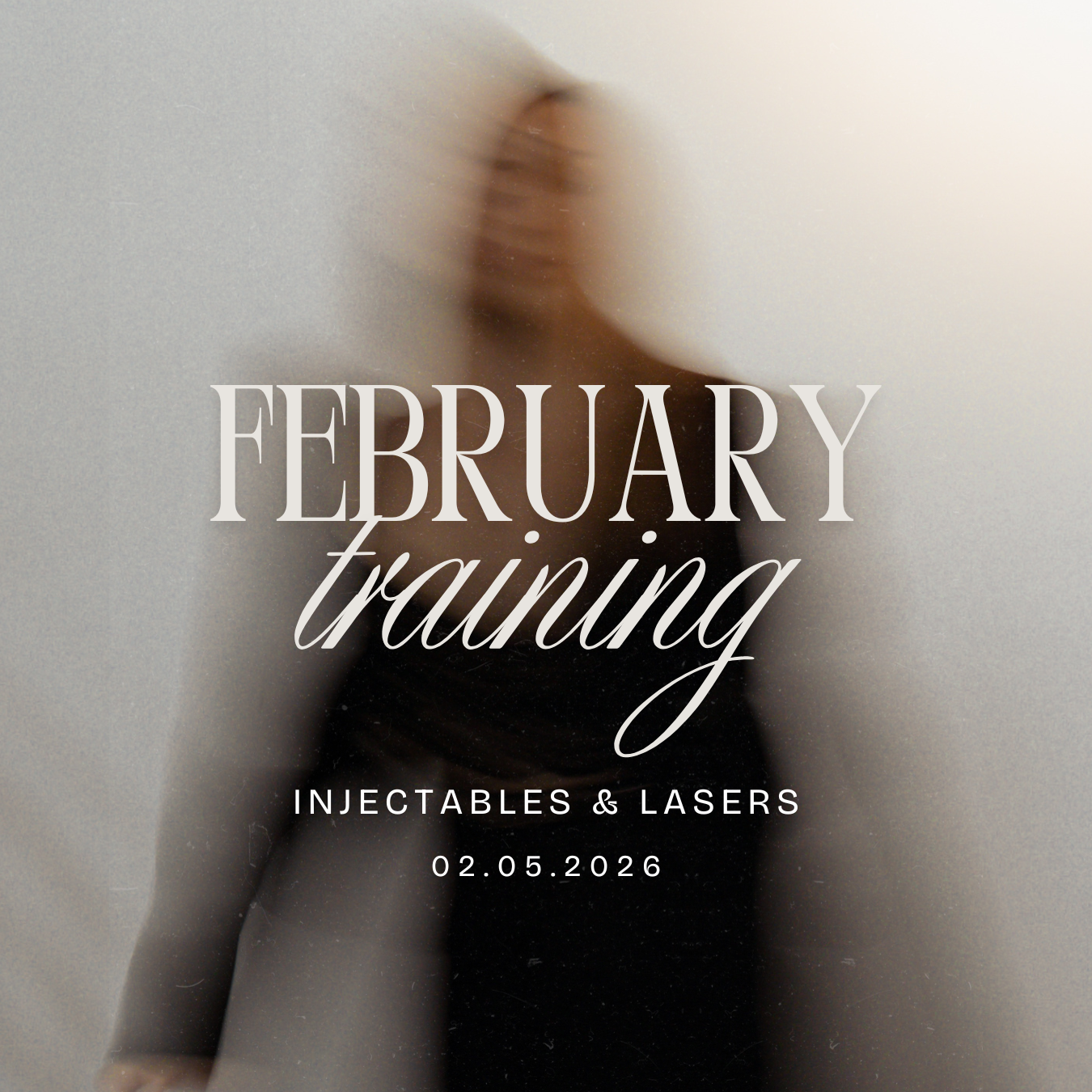 February Aesthetics Symposium